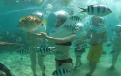 Sanur under sea image, Sea Walker Adventure, Bali Submarine