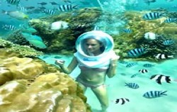 Coral View image, Sea Walker Adventure, Other Activities