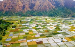 Sembalun Village image, Rinjani Trekking 4 Days and 3 Nights Tours, Lombok Adventure