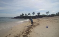 Special Shore Fishing by Ena, Fishing Site