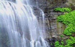 Singaraja Gitgit Waterfall Tour, Bali Sightseeing, Waterfall View