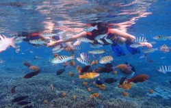 Snorkeling Lembongan image, One Day Package by Glory Express, Lembongan Package