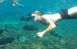 Lembongan Cliff Jumping and Snorkeling, Snorkeling Lembongan