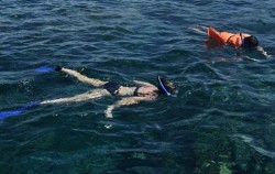 Lembongan Cliff Jumping and Snorkeling, Lembongan Package, Snorkeling Lembongan
