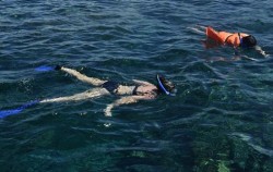 Lembongan Cliff Jumping and Snorkeling, Snorkeling Lembongan