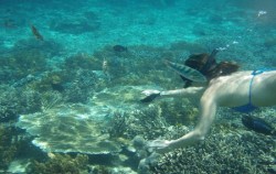 Lembongan Overnight Package 2 Days 1 Night, Snorkeling Activity