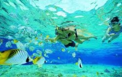 Full Day Cruise Package by Scoot Fast Cruise, Snorkeling