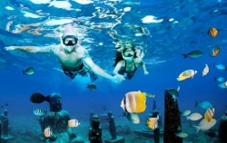 Snorkeling image, Bali Underwater Scooter, Lembongan Package