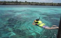 South Sulawesi Round Trip (The Authentic of South Sulawesi) 8 Days / 7 Nights, Snorkeling at Tanjung Bira Bea