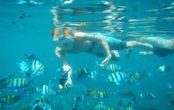 Benoa Tirta Harum Dive & Watersport, Snorkeling