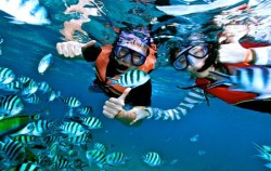 Snorkelling Serangan,Serangan Watersports,Marine Activities in Serangan