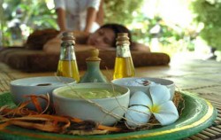 Spa treatment image, Cycling, Elephant Ride & Spa Package, Bali 3 Combined Tours