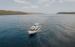 Fast Boat image, Starfish Bali Fast Cruise, Gili Islands Transfer