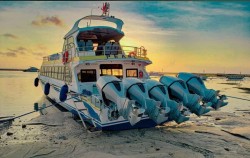 Sanur Port,Gili Islands Transfer,Starfish Bali Fast Cruise