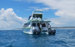 Scoot Fast Boat image, Scoot Fast Cruise, Gili Islands Transfer