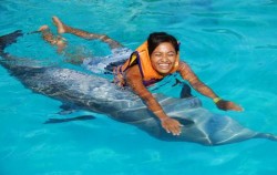 Swimming with Dolphin