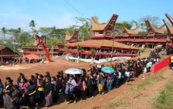 TORAJA CULTURE AND NATURE TOUR  3 Days / 2 Nights, Tana Toraja Tour