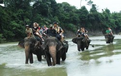 Tangkahan Elephant Safari image, Great Sumatra Adventure 16 Days, Sumatra Adventure