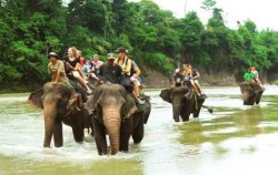 Tangkahan Elephant Safari,Sumatra Adventure,Explore North Sumatra 10 Days 9 Nights