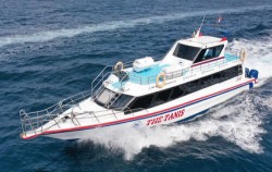 Tanis Fast Cruise - Gilis image, The Tanis Fast Cruise, Gili Islands Transfer