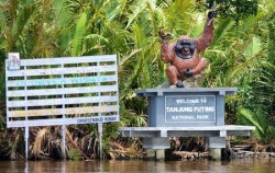 Borneo Overland Trip I 8 Days 7 Nights, Borneo Island Tour, Tanjung Puting National Park