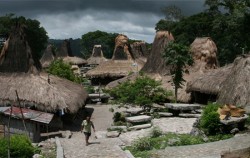 Tarung Village,Sumba Adventure,Sumba  Weaving  Tours 3N 4D