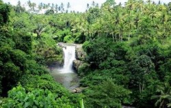 Three Full Days Package, Tegenungan Waterfall