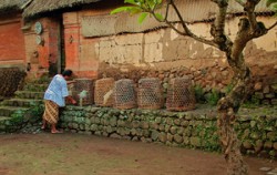 Tenganan Village,Bali Sightseeing,Goa Lawah and Karangasem Tour