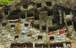 The Lokomata image, TORAJA CULTURE AND NATURE TOUR  3 Days / 2 Nights, Toraja Adventure