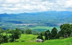 Toraja land at Batutumonga