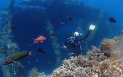 Diving Activities by BMR, Tulambe Dive Site