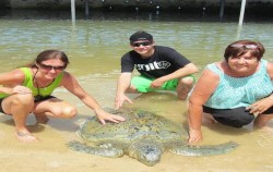 Turtle Island Tour,Benoa Marine Sport,Benoa Tirta Harum Dive & Watersport