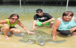 Turtle Island Tour image, Benoa Tirta Harum Dive & Watersport, Benoa Marine Sport