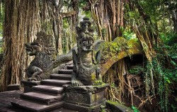 Ubud,Bali Tour Packages,Bali Double Packages