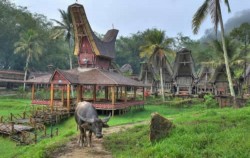 Kete Kesu Village ,Toraja Adventure,TORAJA CULTURE AND NATURE TOUR 4 Days / 3 Nights