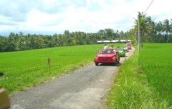 On The Way image, VW Bali Tour, VW Bali Tour