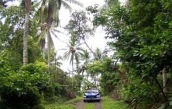 VW Bali Tour, Village Tour