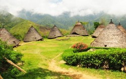 Wae Rebo Village,Komodo Adventure,Sailing Komodo and Wae Rebo 5 Days 3 Nights