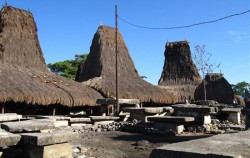 Waitabar Village,Sumba Adventure,Sumba  Traditional  Tour 4N 5D