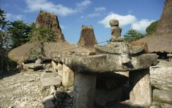 Sumba Adventure Tour 10D 9N, Waitabar Village