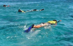 The Waka Cruises, Waka Snorkeling