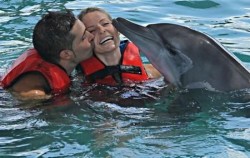 Dolphin Kiss image, Wake Bali Dolphin, Bali Dolphins Tour