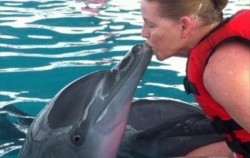 Dolphin Kiss image, Wake Bali Dolphin, Bali Dolphins Tour