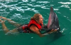 Wake Bali Dolphin, Swim with Dolphin