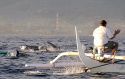 Dolphins Watching image, Dolphins Watching Tour at Lovina, Bali Dolphins Tour