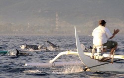 Dolphins Watching Tour at Lovina, Dolphins Watching