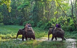 Waykambas Safari,Sumatra Adventure,2D1N Way Kanan & Way Kambas Adventure