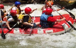 White Water Rafting image, Leuser National Park Trekking 5 Days 4 Nights, Sumatra Adventure