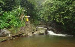 Jungle Trip In Bali,Bali Trekking,Jungle Trip